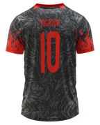 Arte Digital Camisa Interclasse Fenix 1