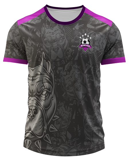 Arte Digital Camisa Interclasse Pitbulls