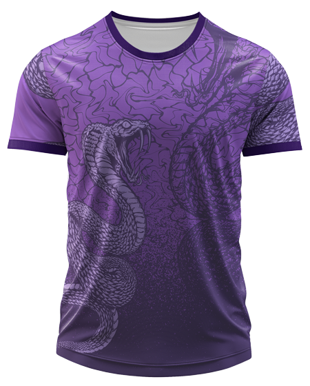 Arte Digital Camiseta Interclasse Cobra Power