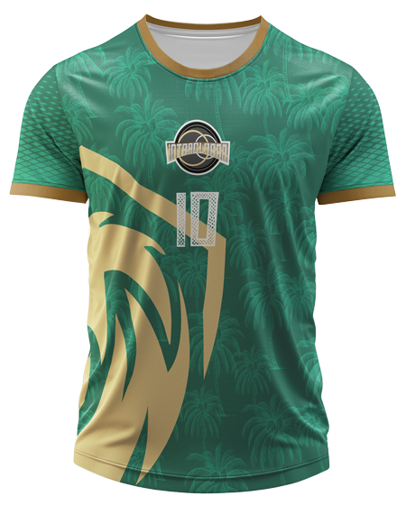 Arte Digital Camisa Interclasse Leao Simplista